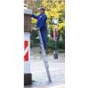 morepic-1